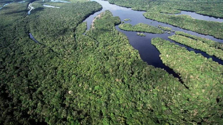 Brasil alcança as menores taxas de desmatamento da série histórica na Amazônia e no Cerrado