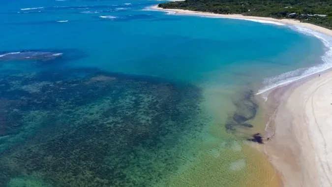 Alerta vermelho nos mares: clima pode empobrecer a vida marinha no Atlântico Ocidental até 2100